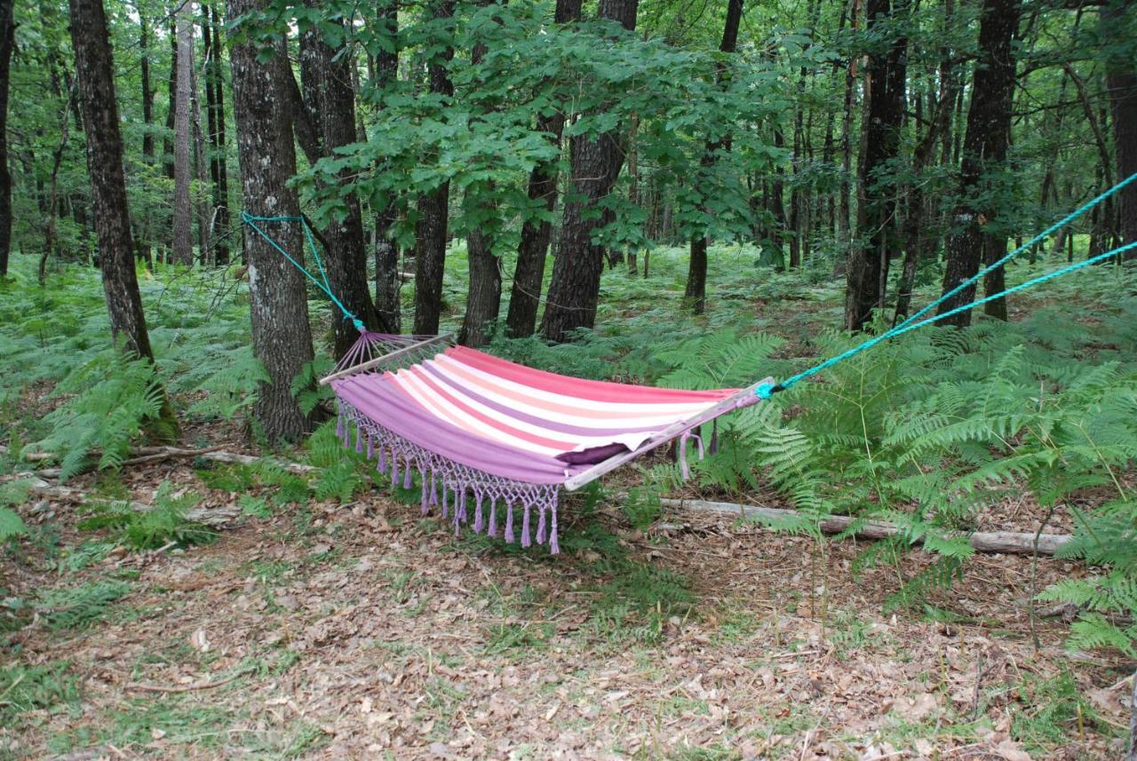 Camping Bois De St Hilaire Chalandray Eksteriør bilde