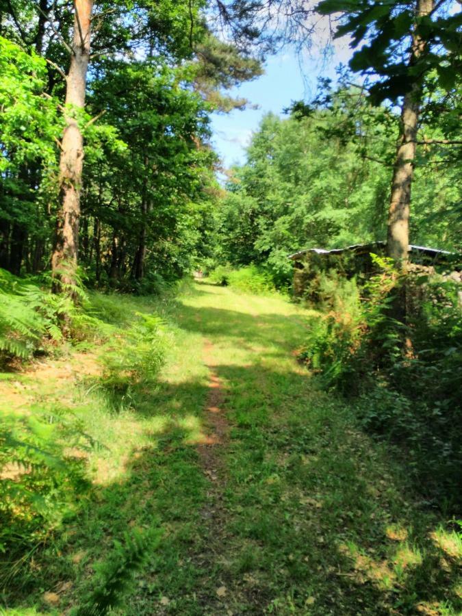 Camping Bois De St Hilaire Chalandray Eksteriør bilde